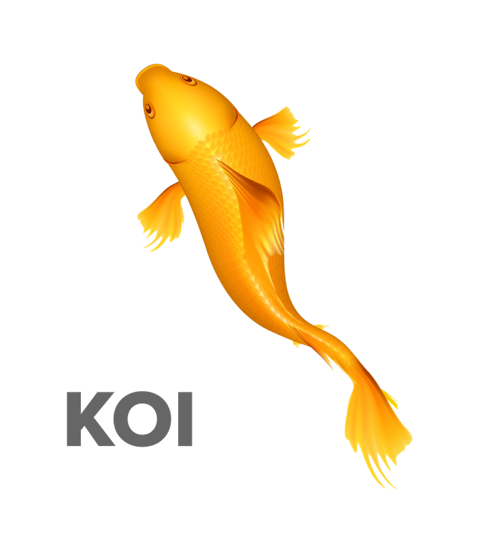 KOI logo