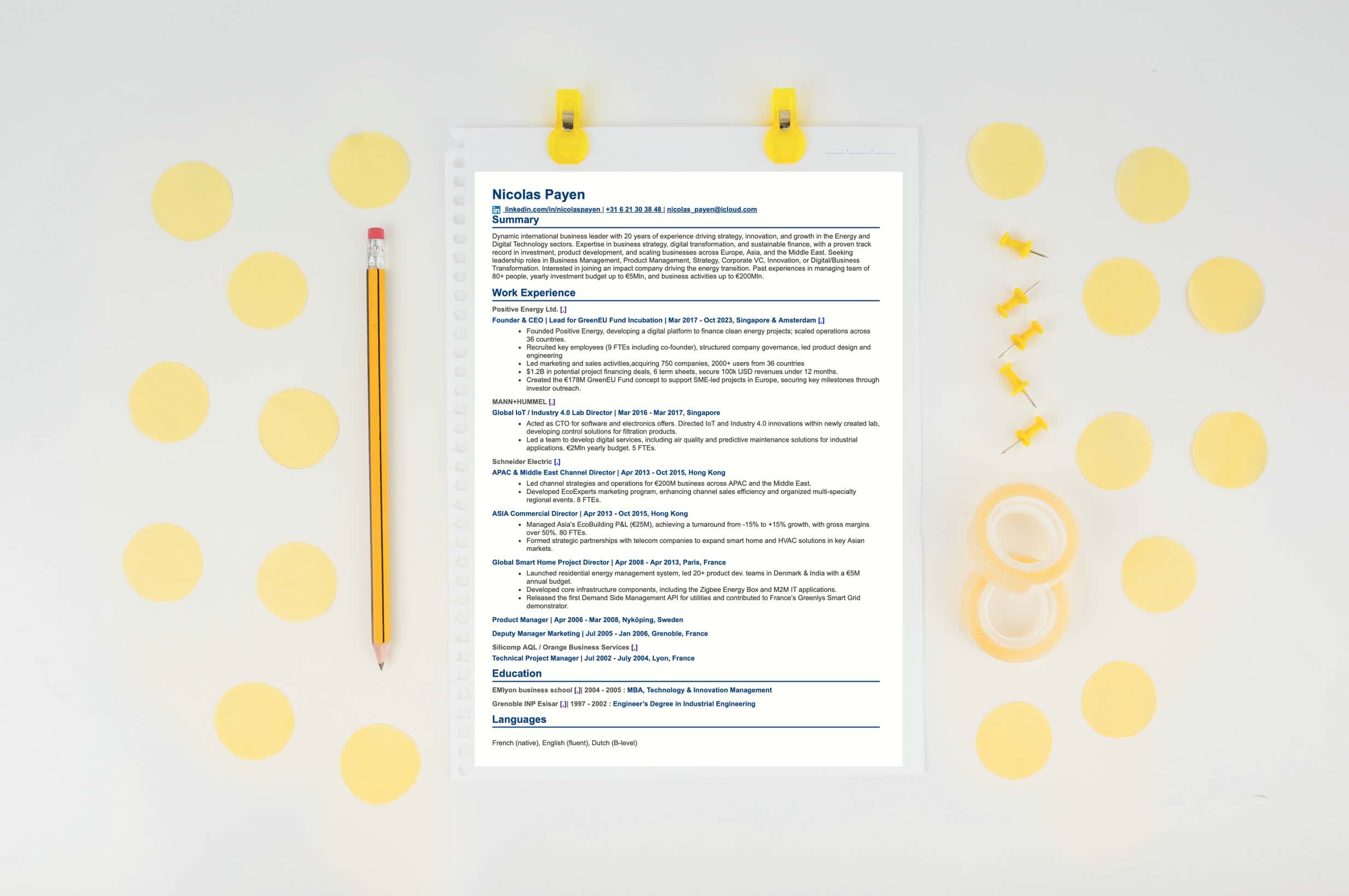 Nicolas Payen's resume