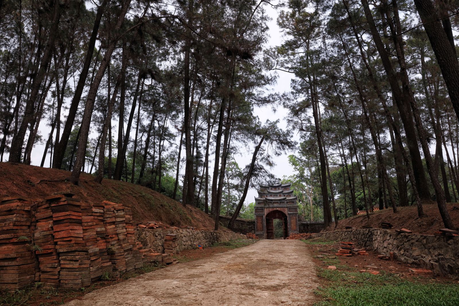 Whispering Pines and Ancient Echoes