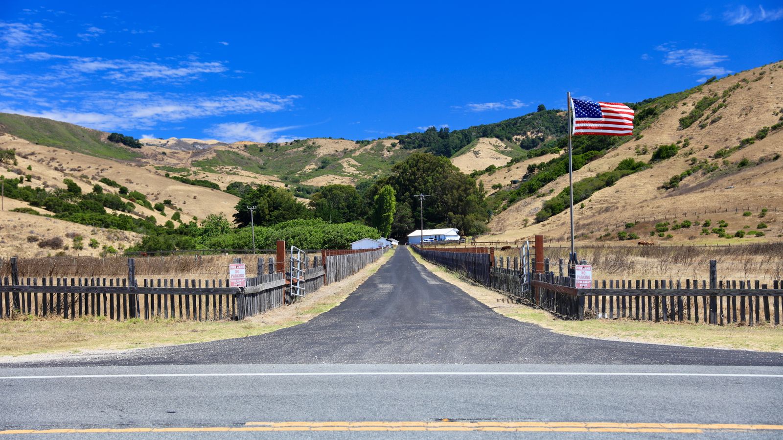 Whispering Hills of Freedom