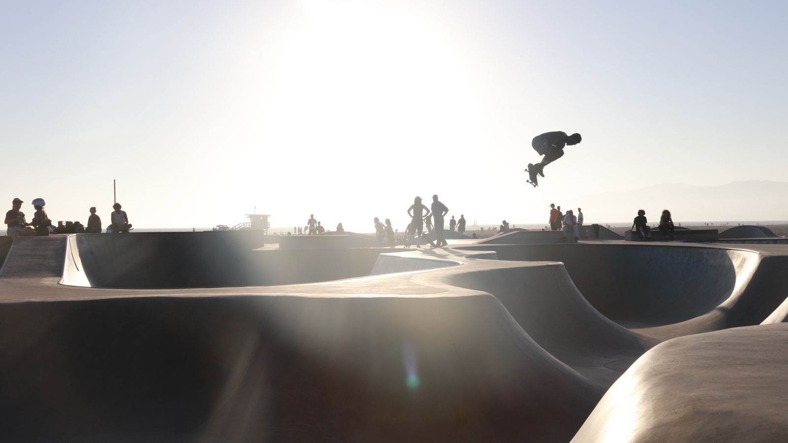 Flight in the Golden Hour