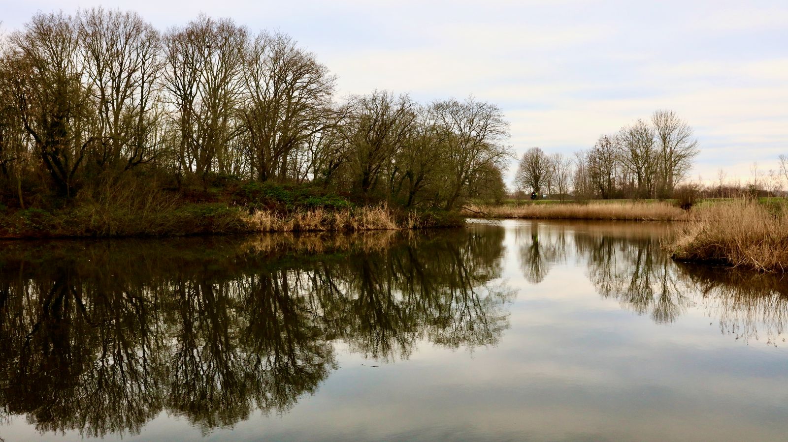 Reflective Whispers of Still Waters