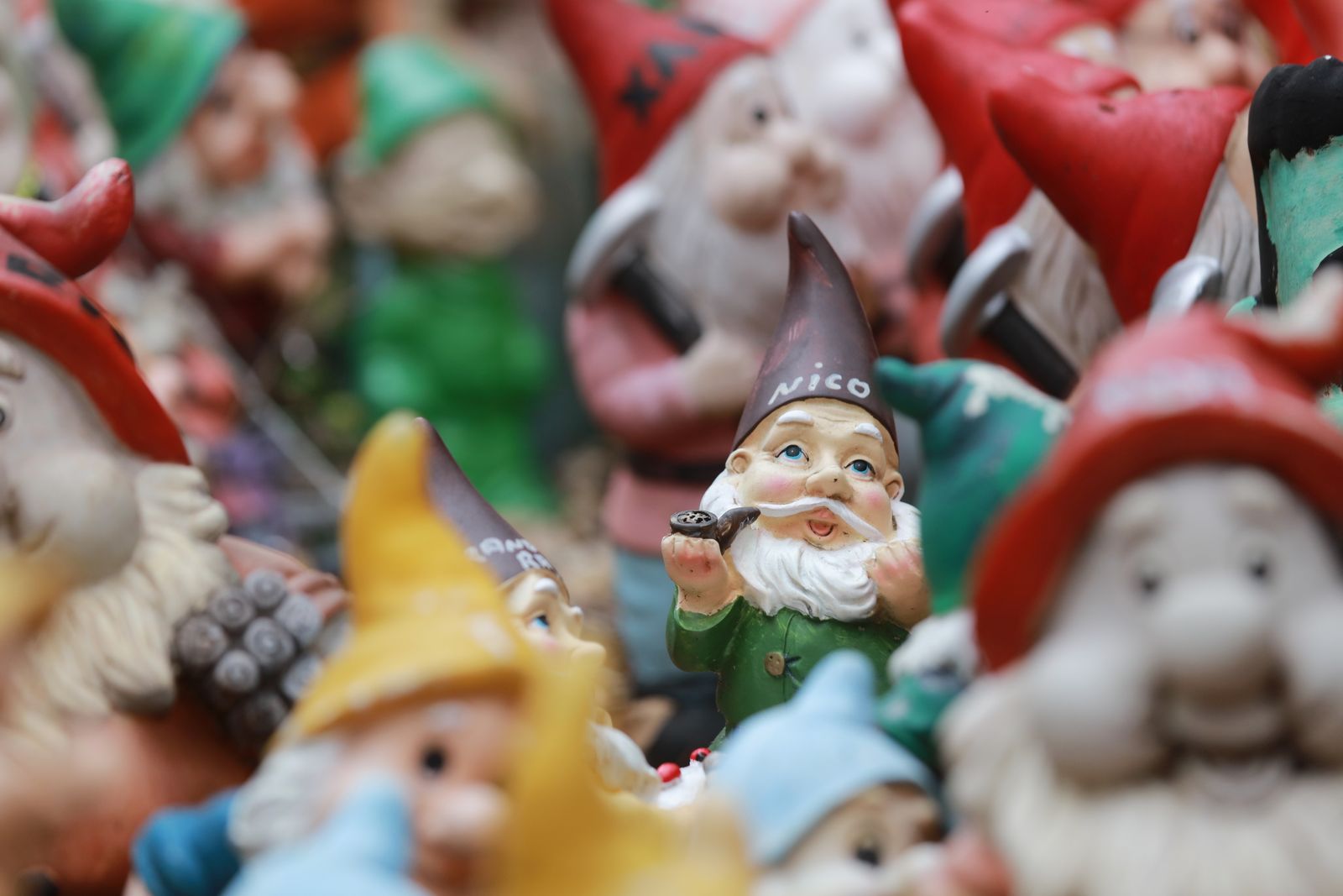 Whispers in the Garden