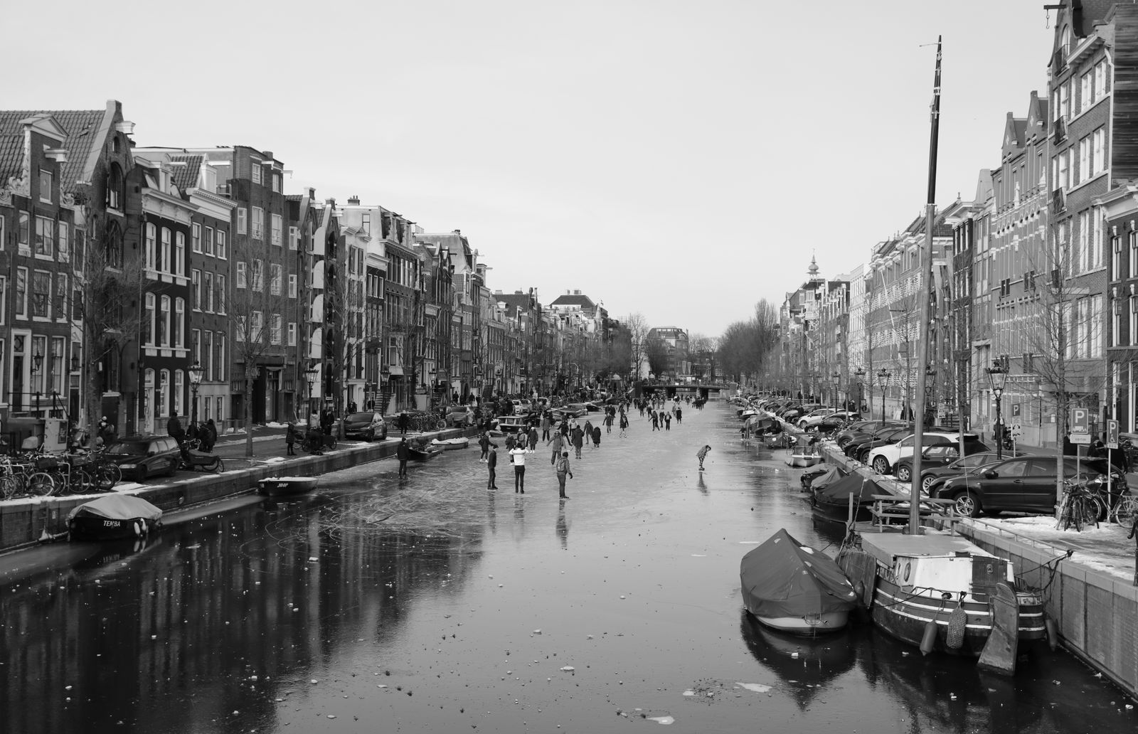 Gliding Through Stillness