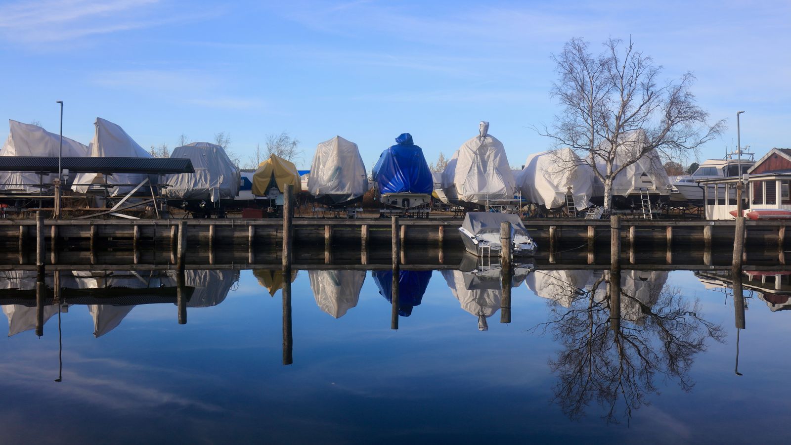 Harbor's Quiet Reflection