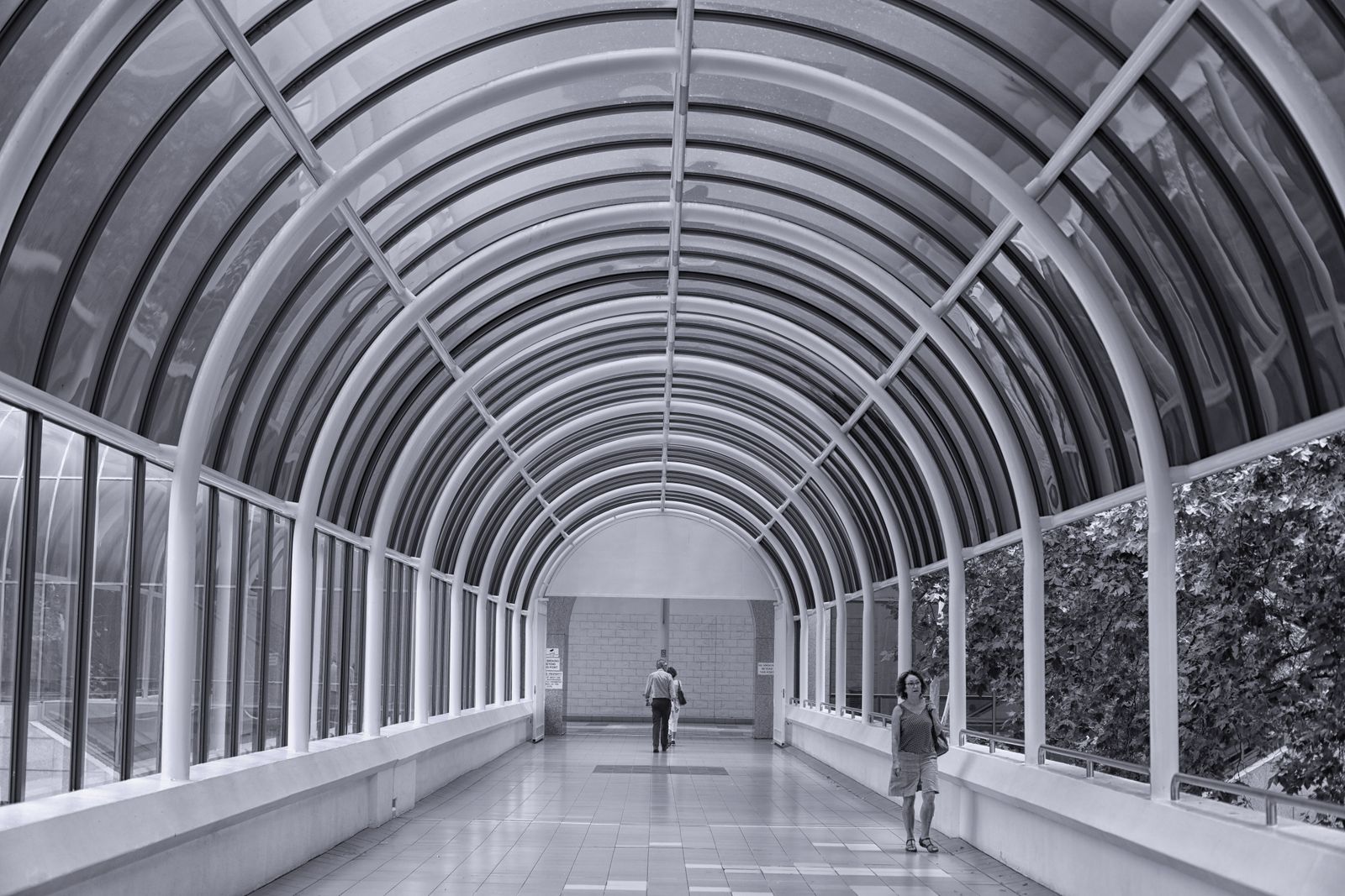 Passage of Quiet Echoes