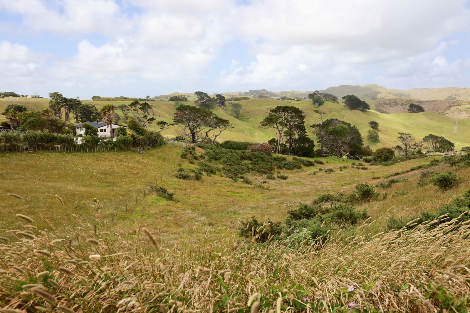 Whispers of the Rolling Green