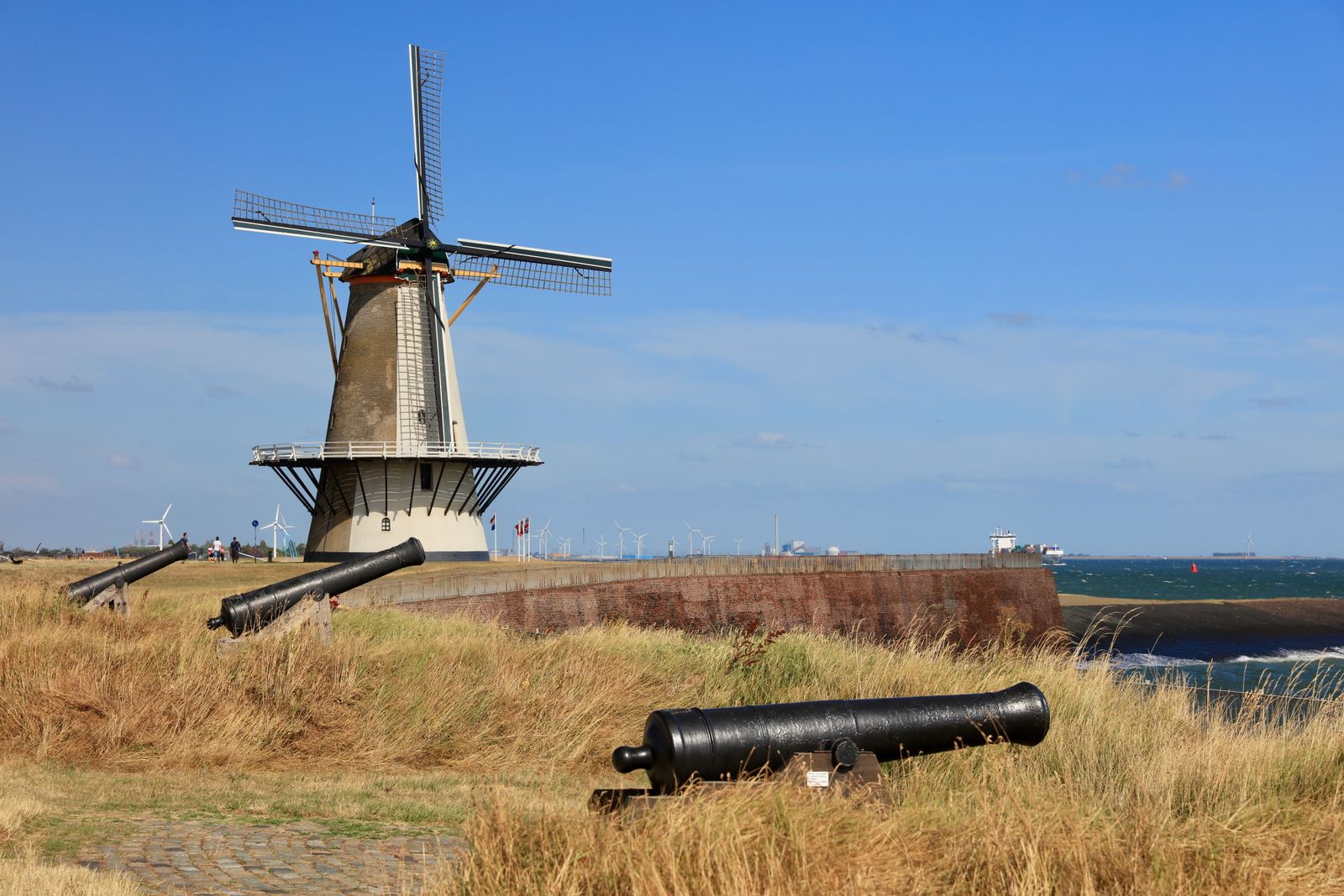 Guardians of the Wind