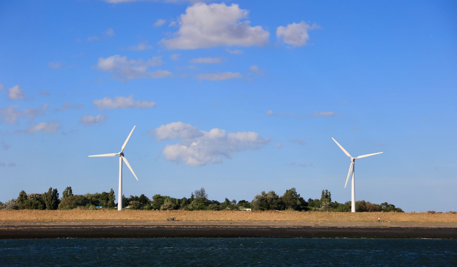 Whispers of a Gentle Breeze