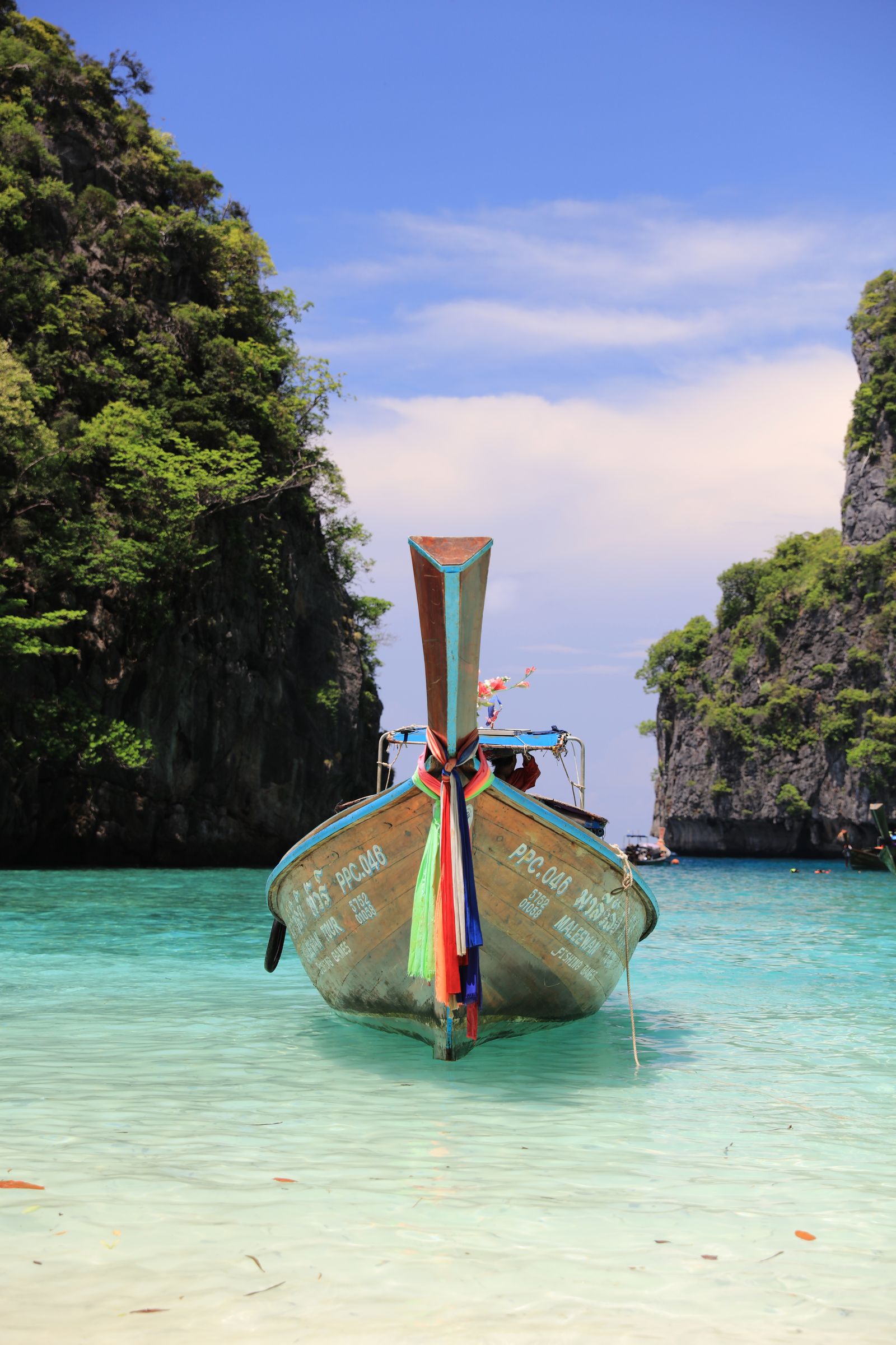 Serenity's Gentle Embrace