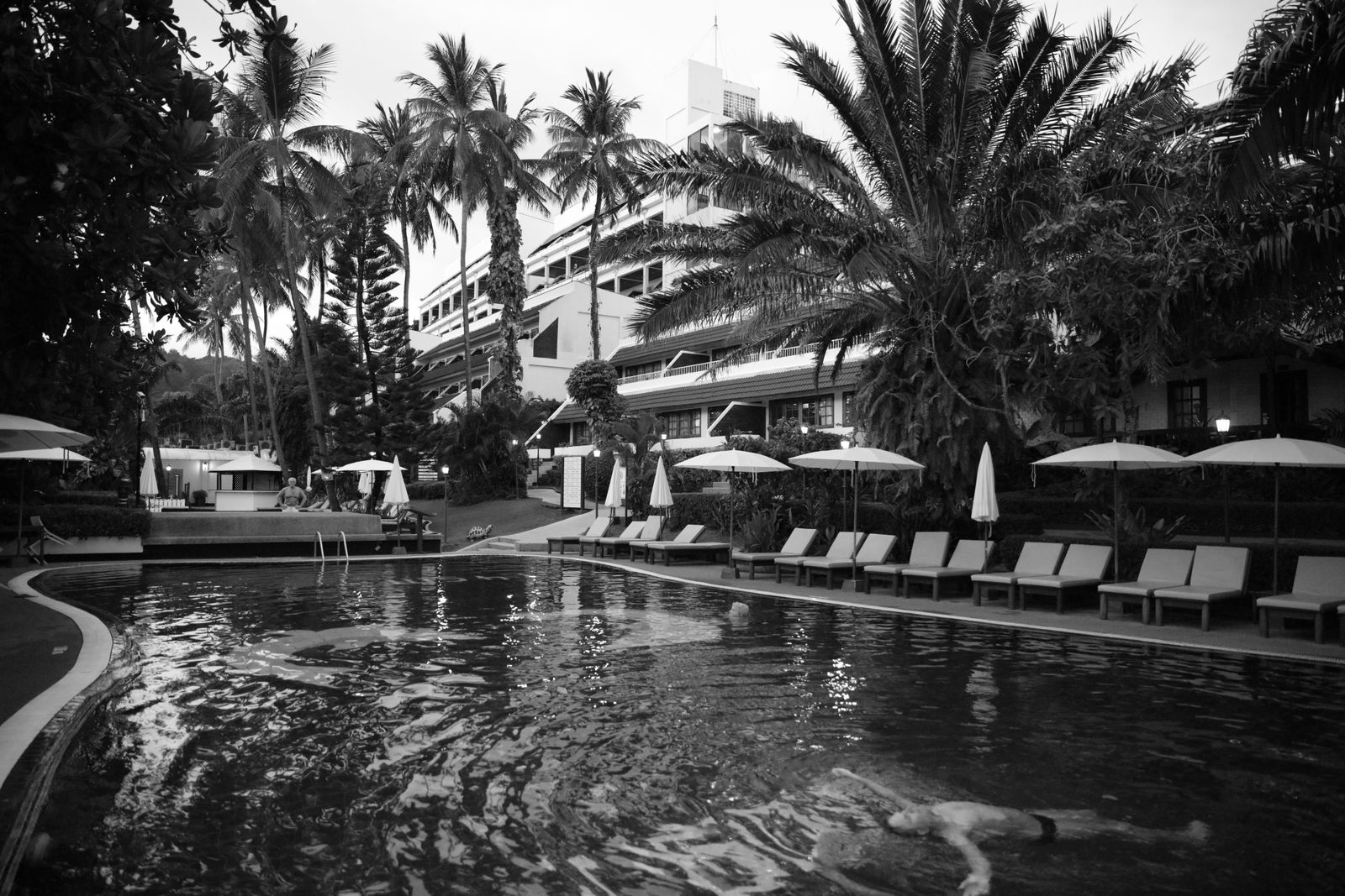 Echoes of Evening Waters