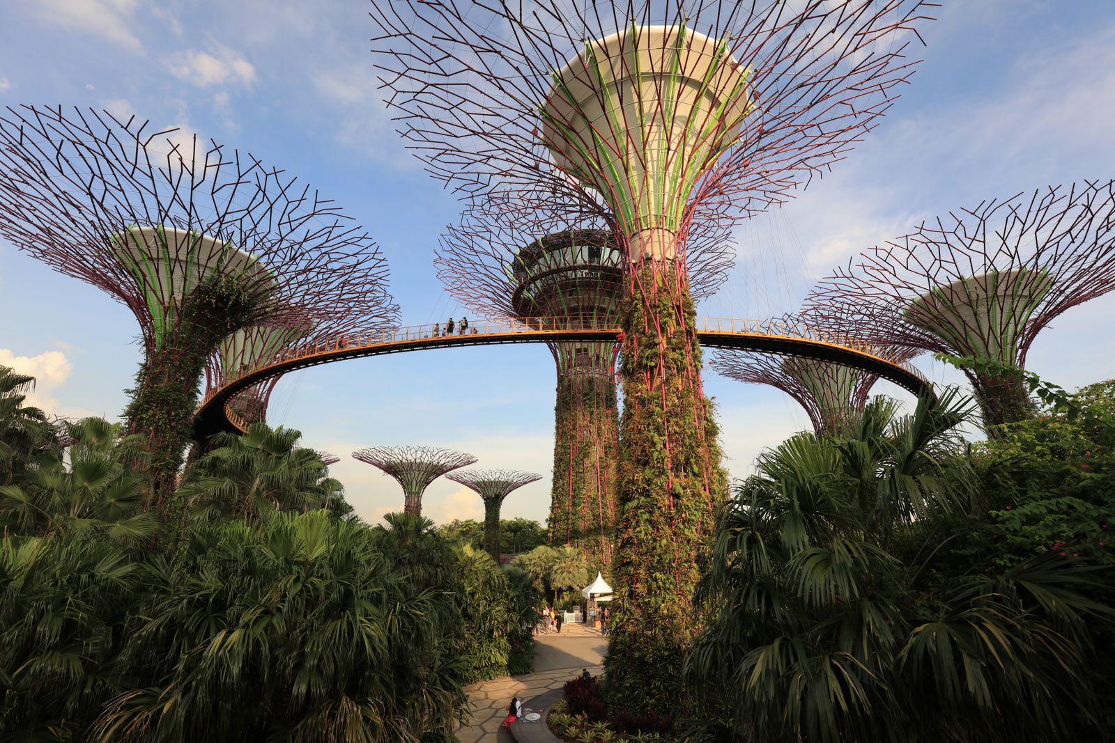 Towers of Dream and Vine