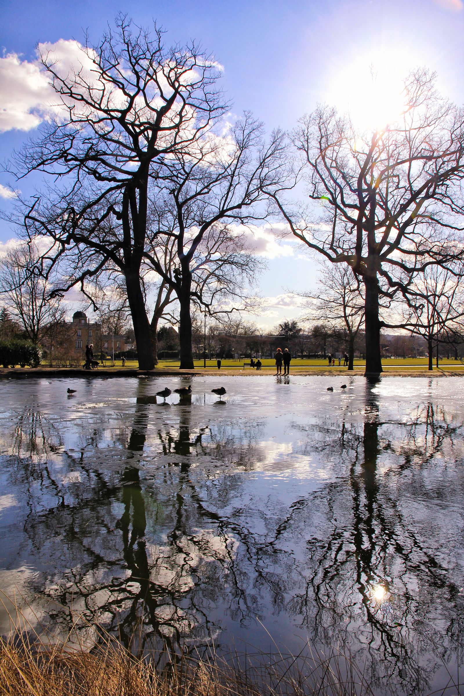 Reflections on a Winter's Breath
