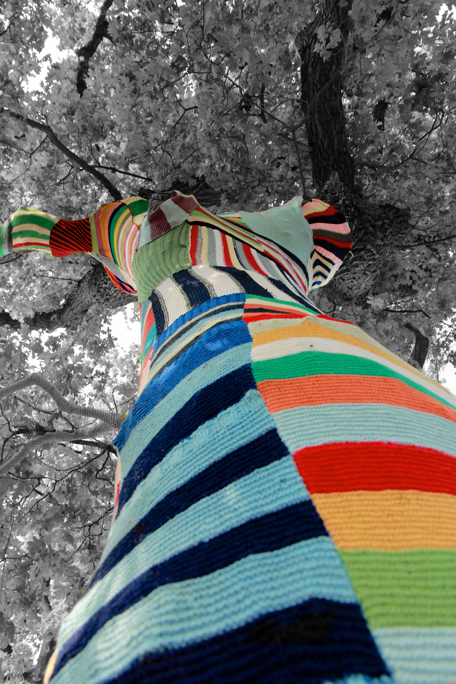 Threads of Nature’s Whisper