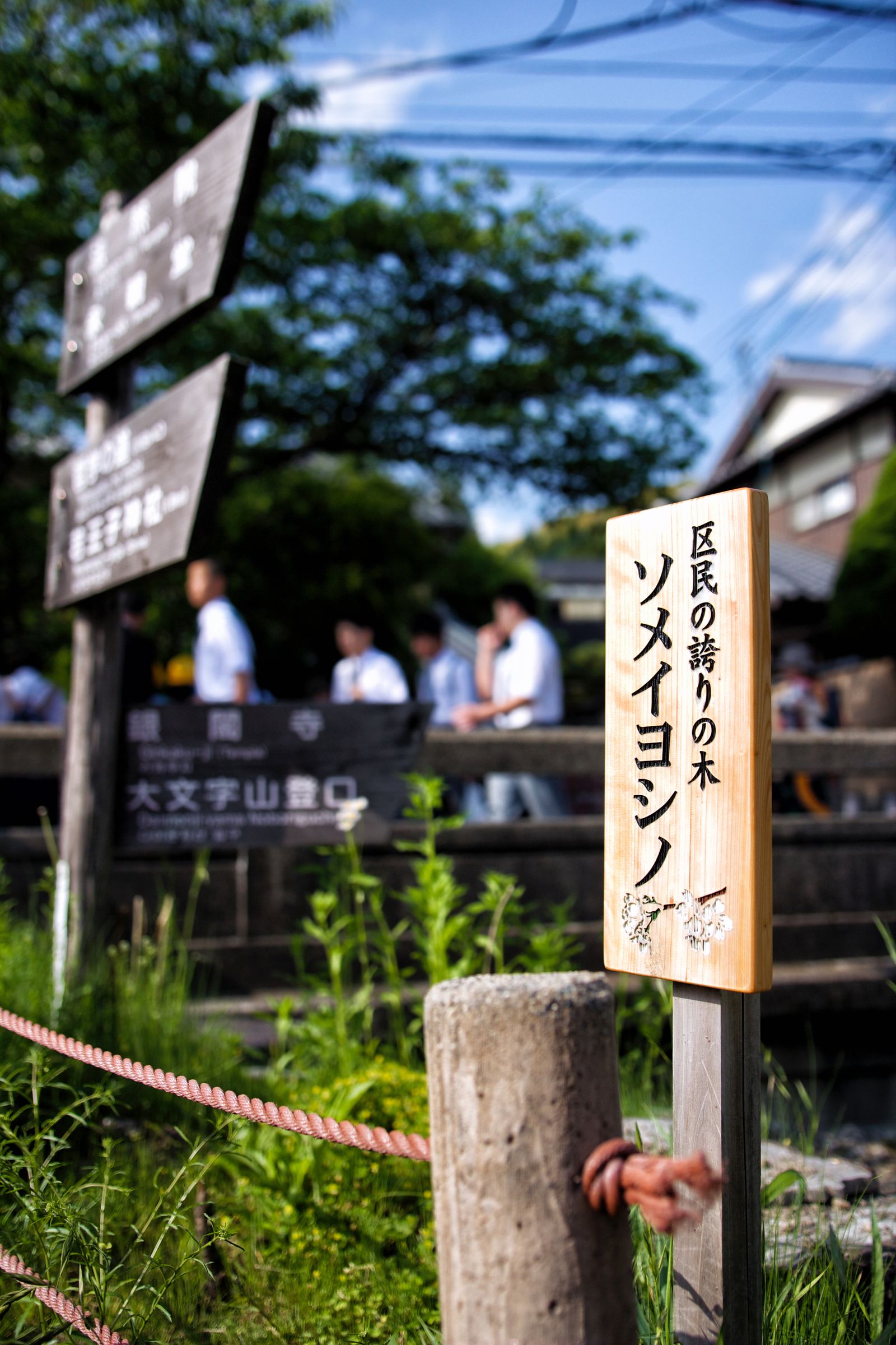 Bestofme 2016 08 05226