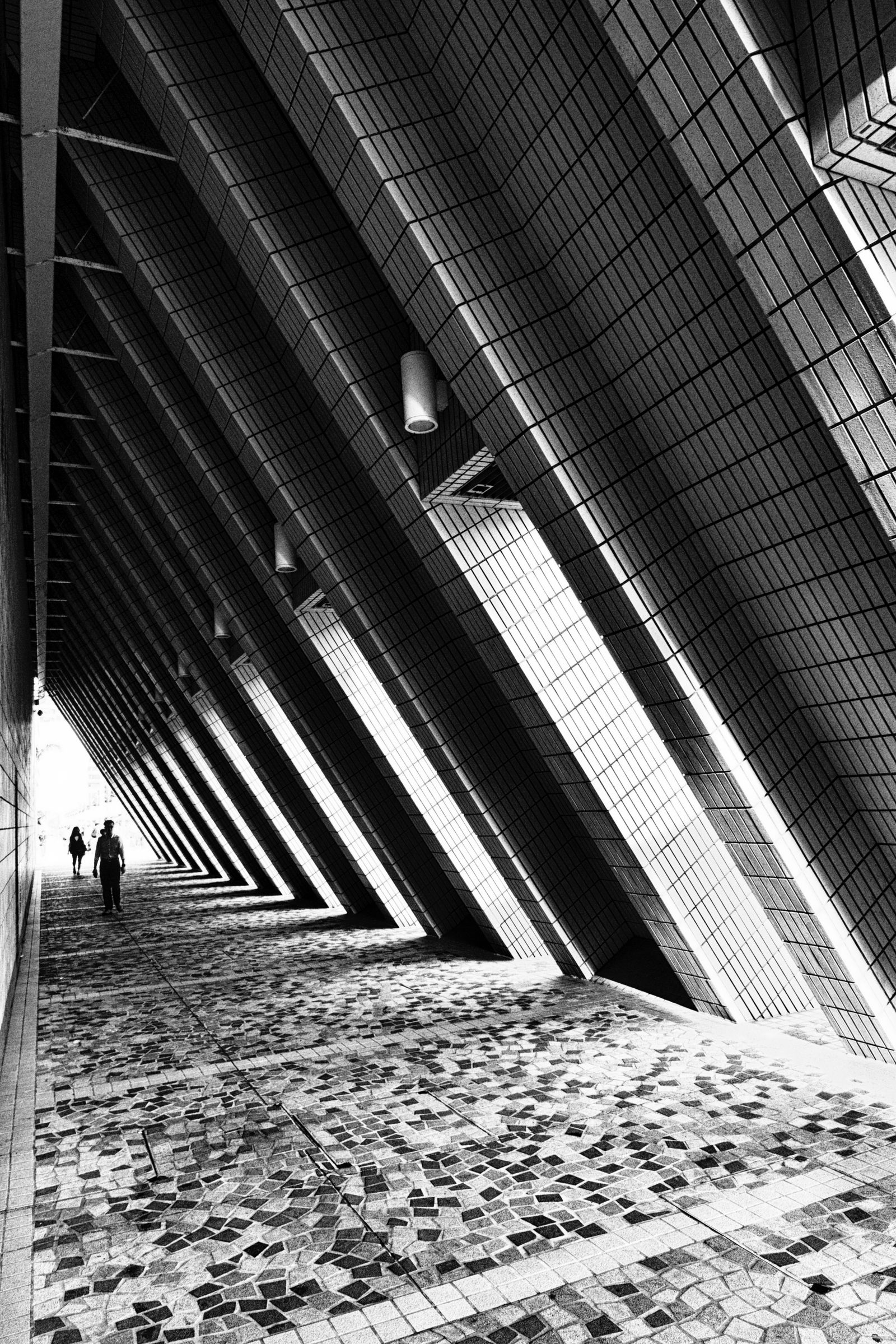 Shadows of Geometric Grace