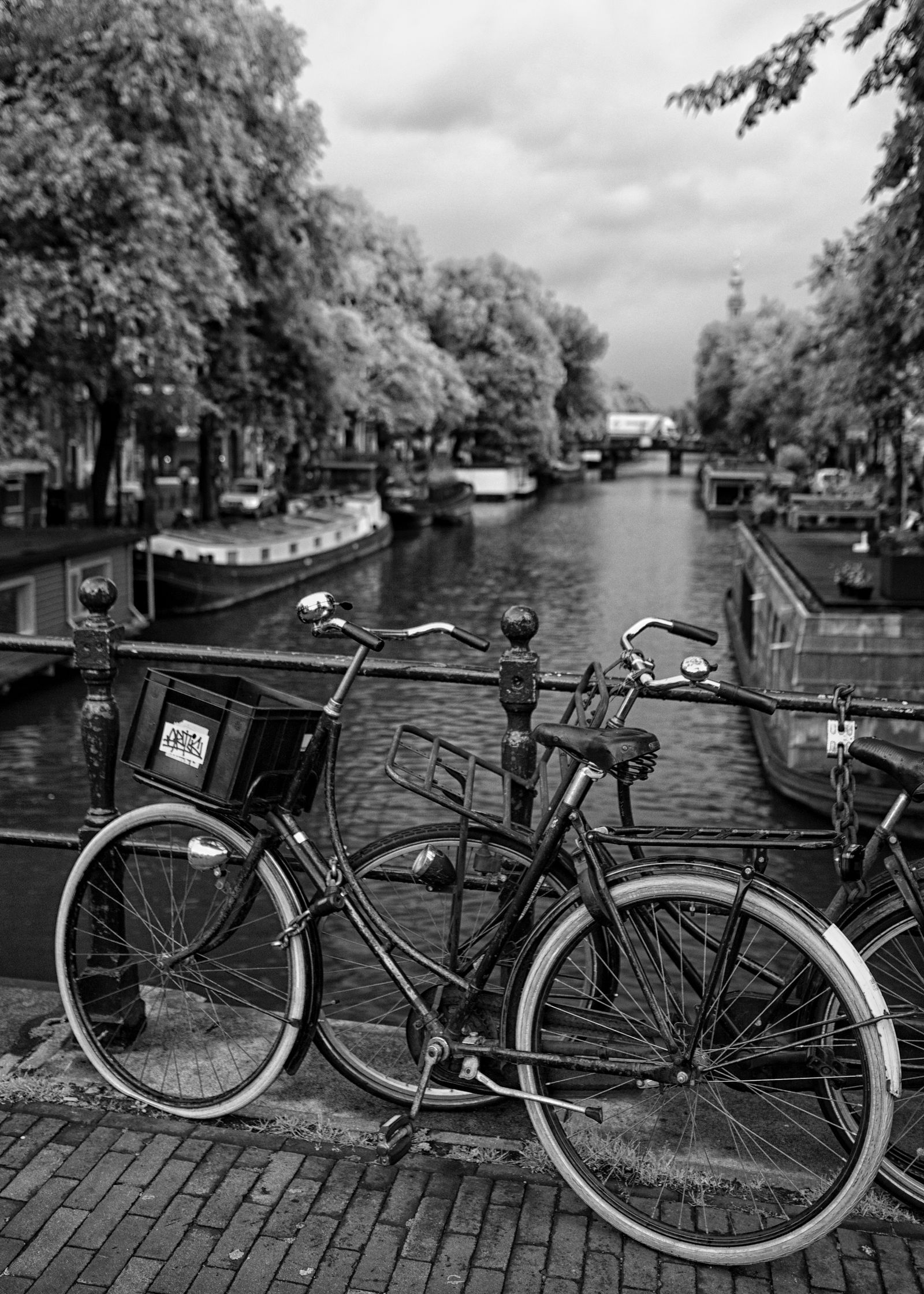 Whispers Along the Canal