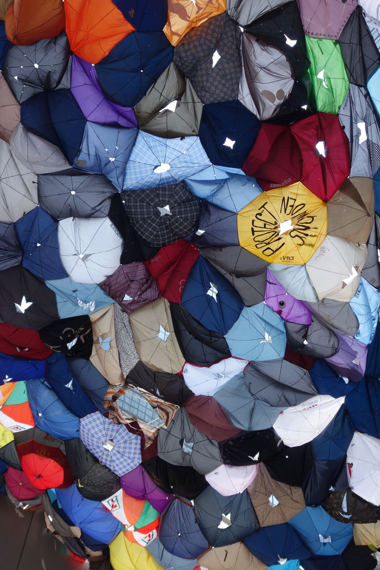 Canopy of Vibrant Whispers