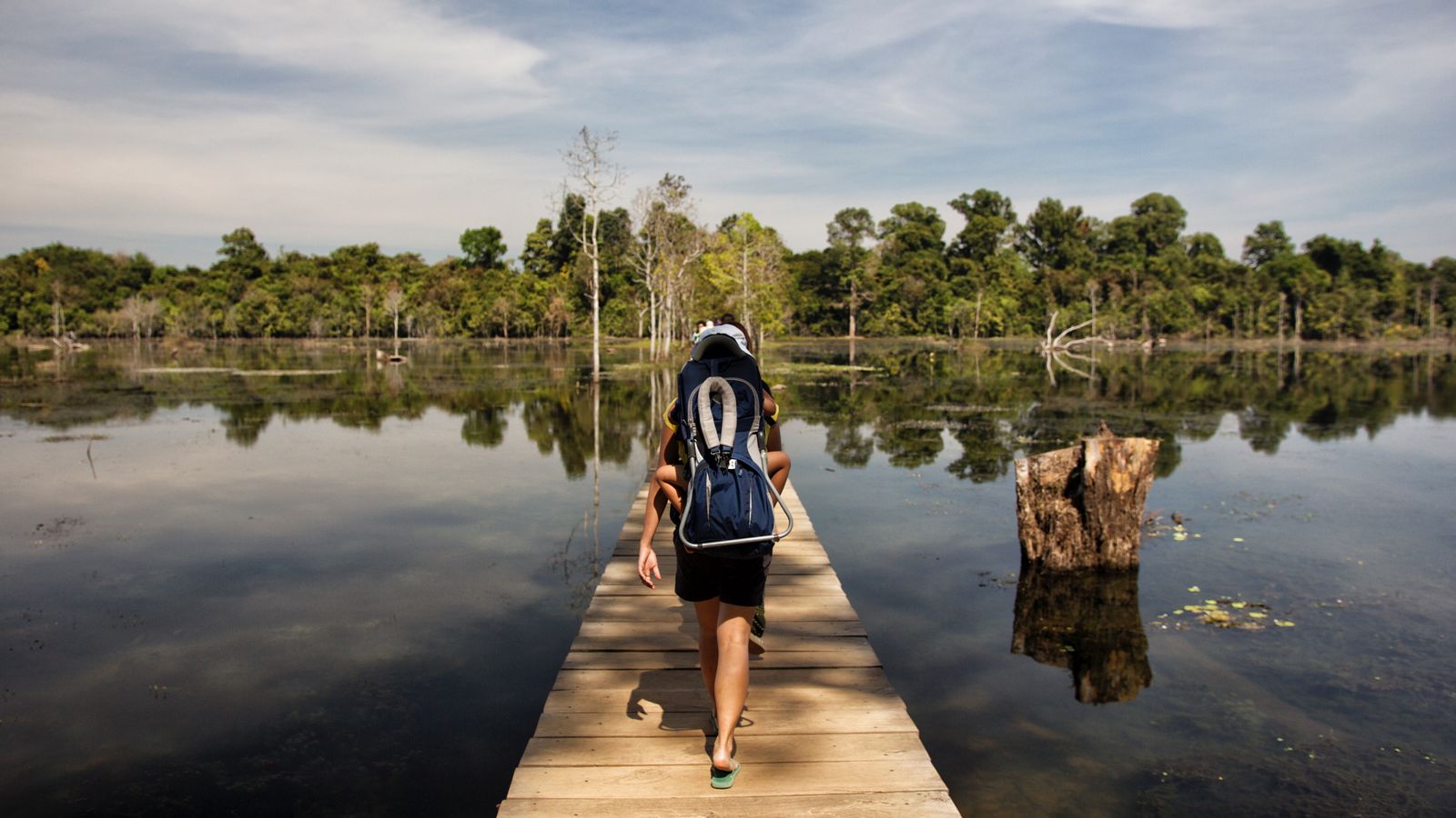 Journey into Reflection