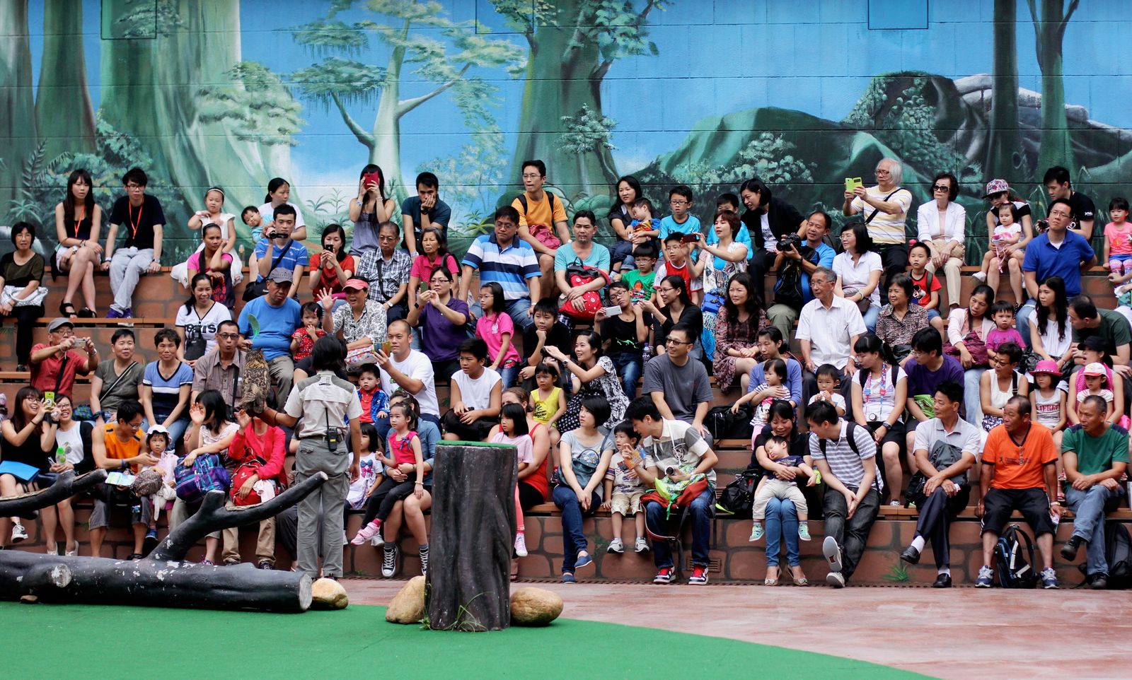 The Crowd's Quiet Symphony