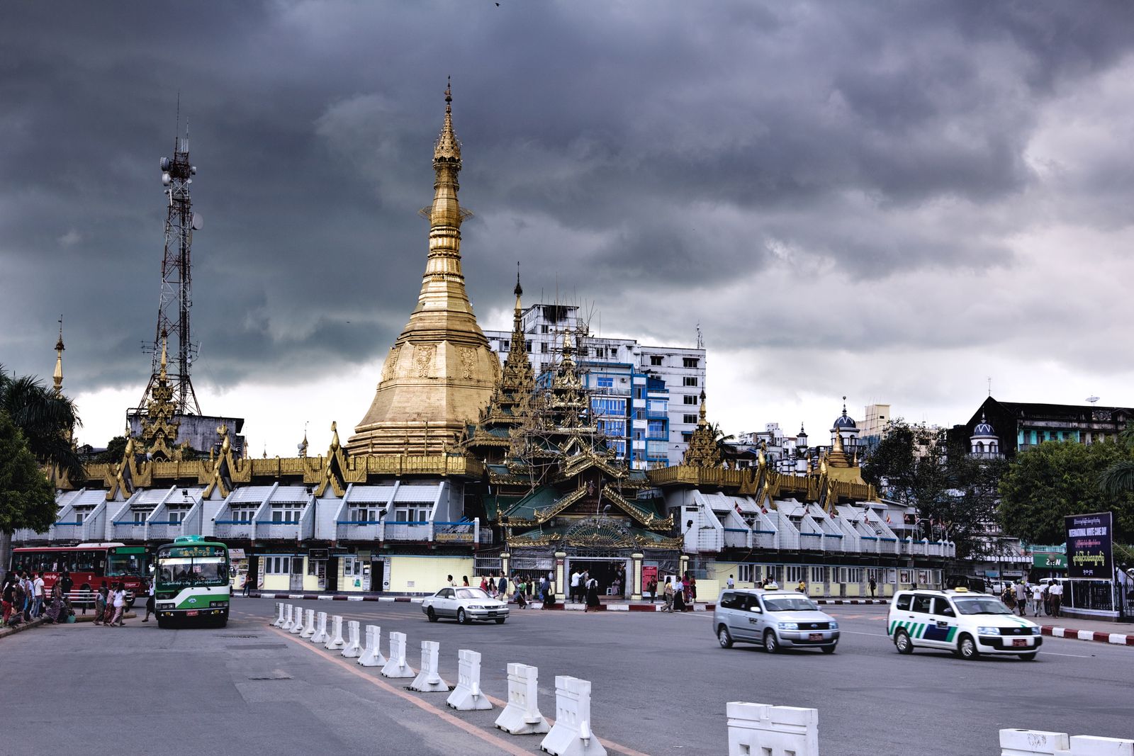 Golden Whisper Beneath the Storm