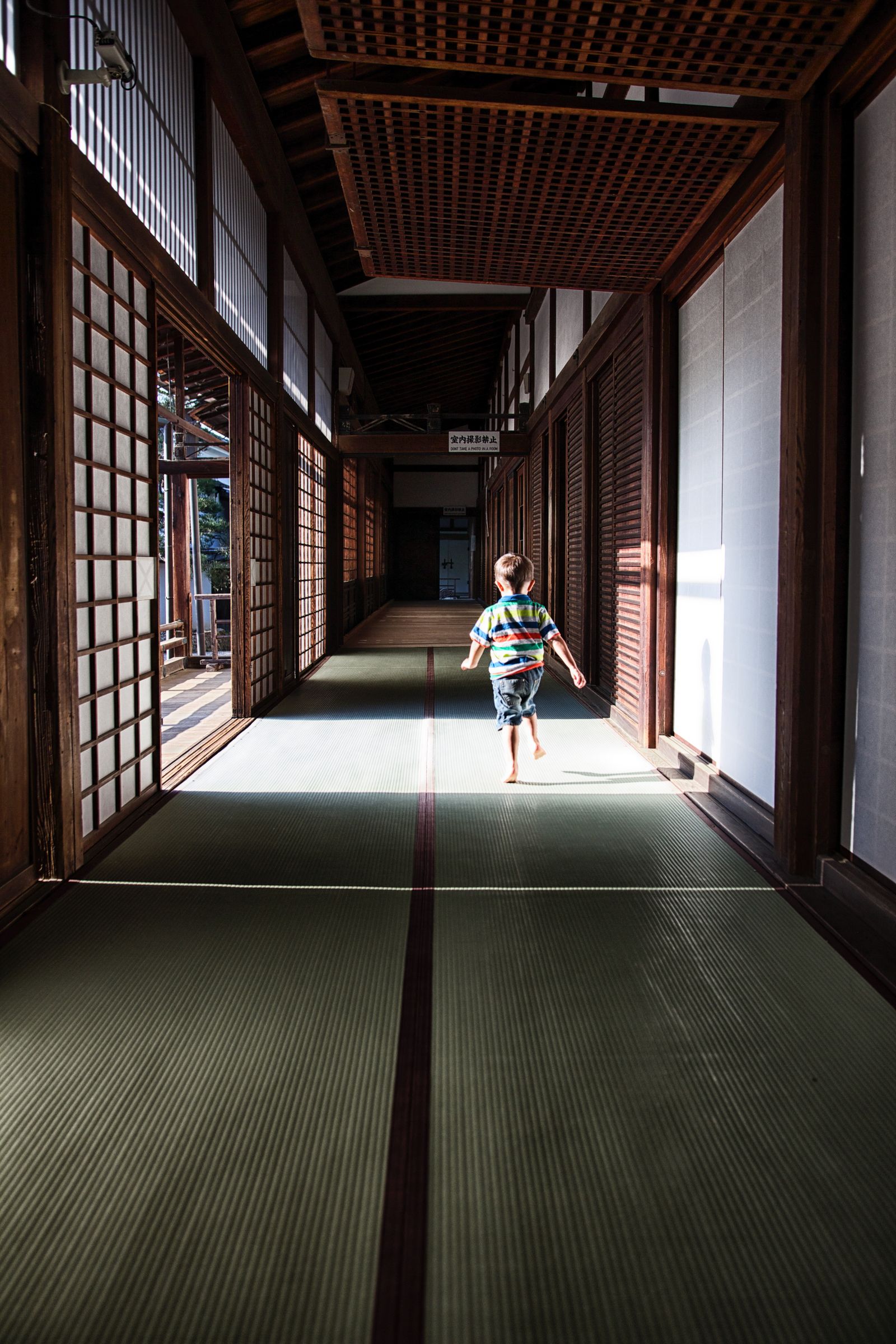 Journey of Innocence